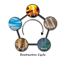 destructive cycle